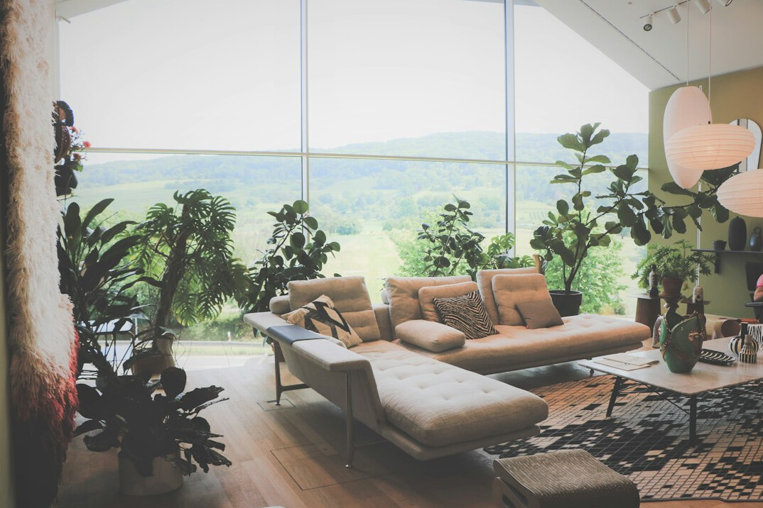 tidy living room with plants